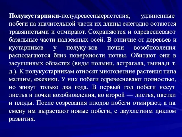 Полукустарники-полудревесныерастения, удлиненные побеги на значительной части их длины ежегодно остаются