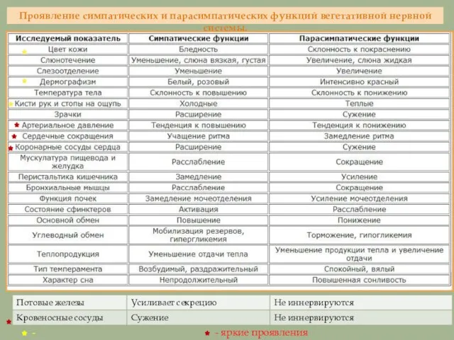 Проявление симпатических и парасимпатических функций вегетативной нервной системы. - диагностические - яркие проявления