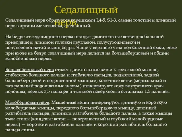 Седалищный нерв. Седалищный нерв образуется корешками L4-5, S1-3, самый толстый