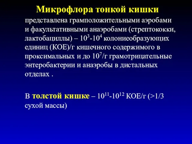 Микрофлора тонкой кишки представлена грамположительными аэробами и факультативными анаэробами (стрептококки,