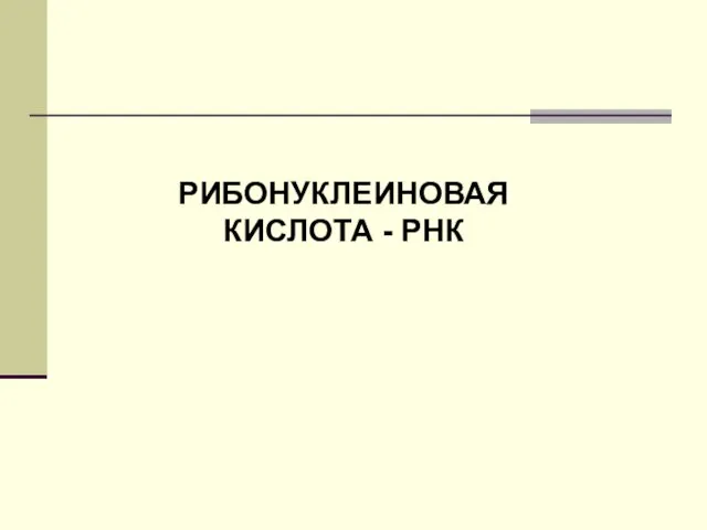 РИБОНУКЛЕИНОВАЯ КИСЛОТА - РНК