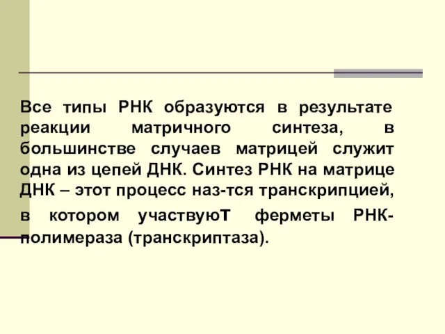 Все типы РНК образуются в результате реакции матричного синтеза, в