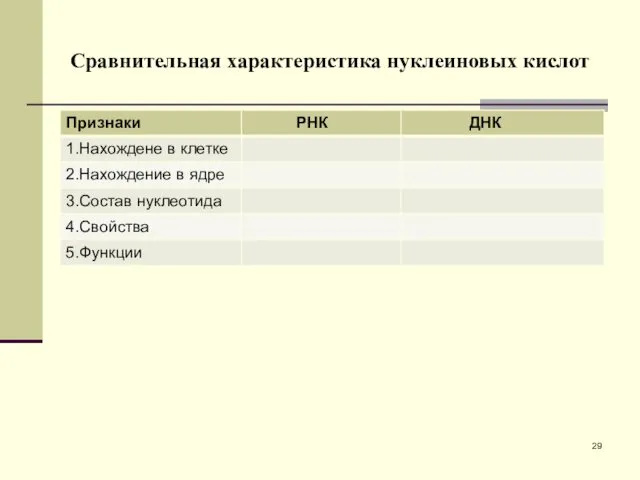 Сравнительная характеристика нуклеиновых кислот