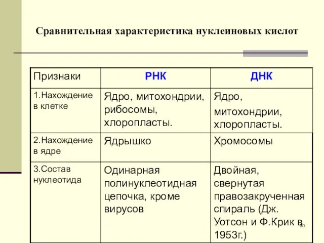 Сравнительная характеристика нуклеиновых кислот