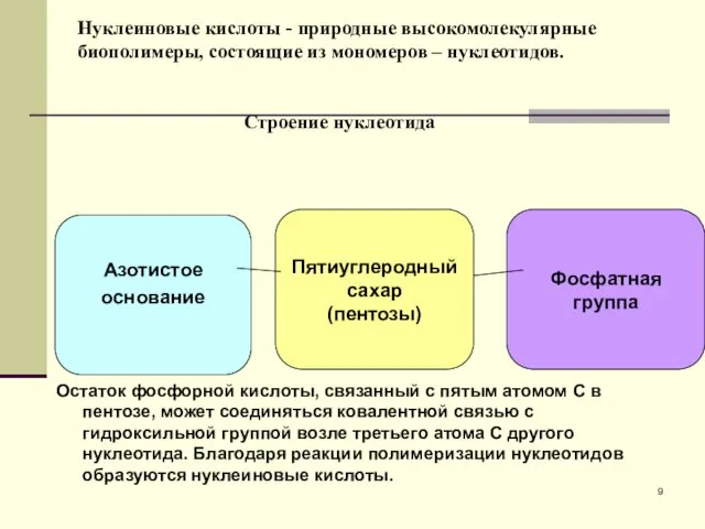 Нуклеиновые кислоты - природные высокомолекулярные биополимеры, состоящие из мономеров –