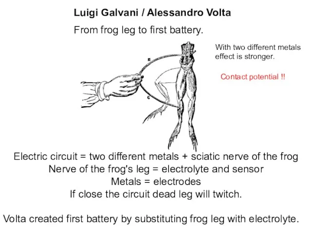 Electric circuit = two different metals + sciatic nerve of