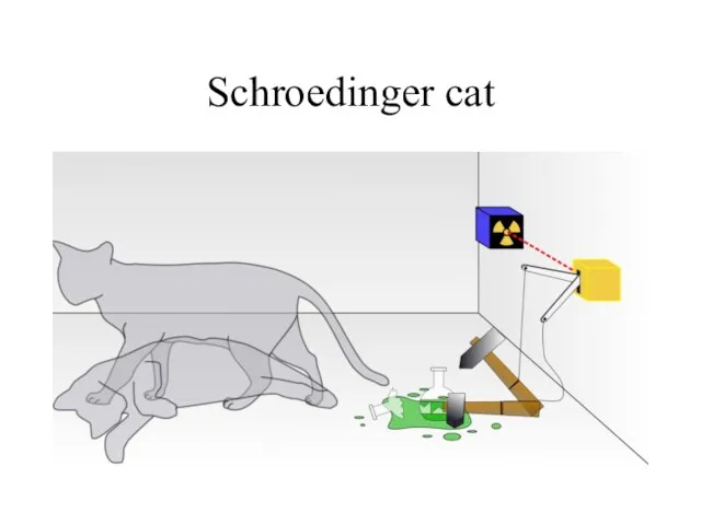 Schroedinger cat