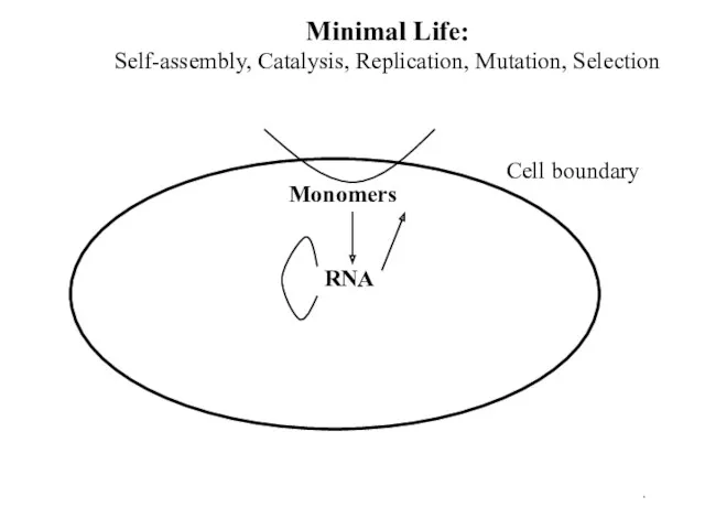 . Minimal Life: Self-assembly, Catalysis, Replication, Mutation, Selection Cell boundary