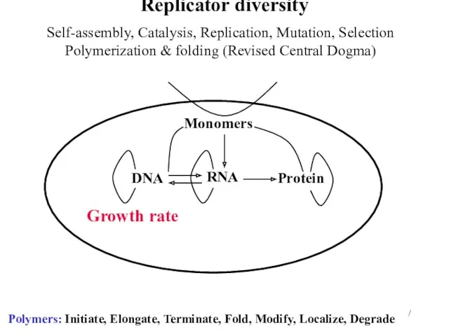 / Replicator diversity DNA Protein Growth rate Polymers: Initiate, Elongate,