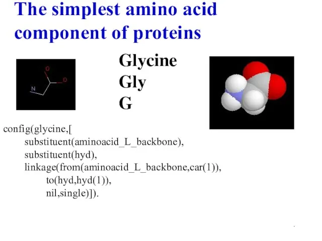 . Glycine Gly G The simplest amino acid component of