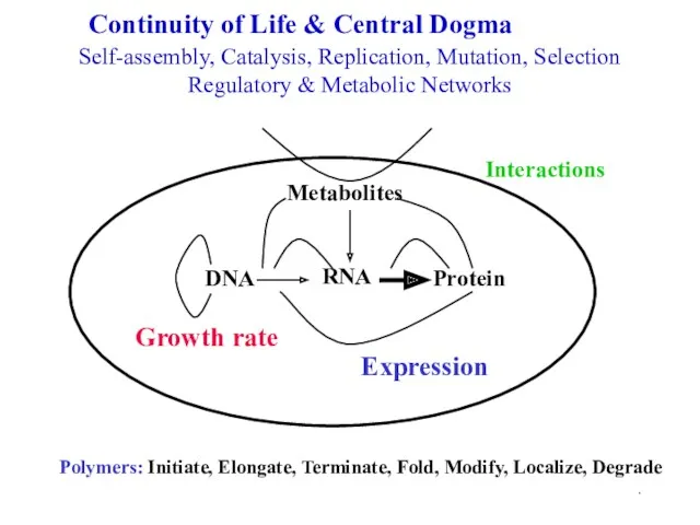 . Continuity of Life & Central Dogma DNA Protein Growth