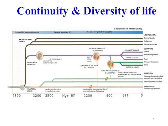 . Continuity & Diversity of life