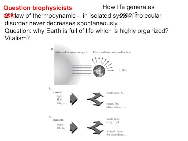 2nd law of thermodynamic - in isolated system molecular disorder