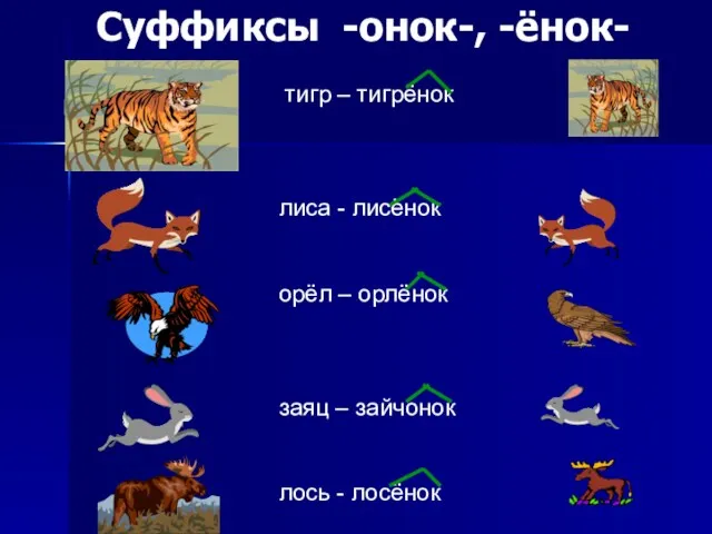 Суффиксы -онок-, -ёнок- тигр – тигрёнок лиса - лисёнок орёл