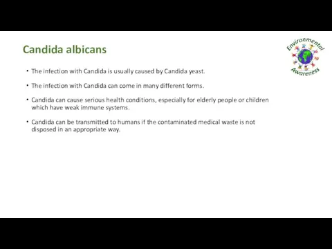 Candida albicans The infection with Candida is usually caused by Candida yeast. The