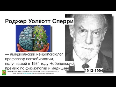 1913-1994 Роджер Уолкотт Сперри — американский нейропсихолог, профессор психобиологии, получивший