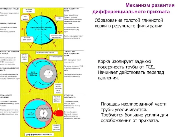 Механизм развития дифференциального прихвата Образование толстой глинистой корки в результате