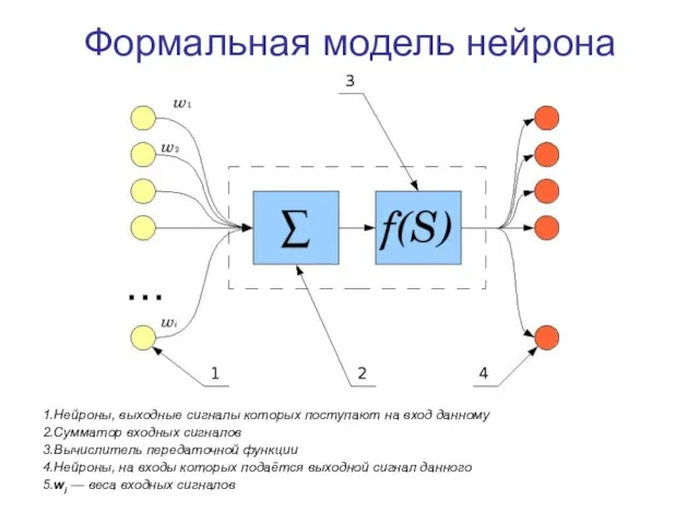 Формальная модель нейрона 1.Нейроны, выходные сигналы которых поступают на вход