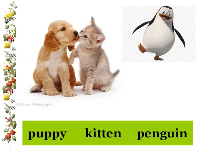 puppy kitten penguin