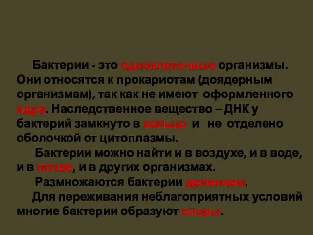 Бактерии - это одноклеточные организмы. Они относятся к прокариотам (доядерным