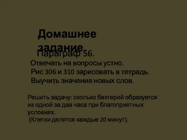 Домашнее задание. Параграф 56. Отвечать на вопросы устно. Рис 306