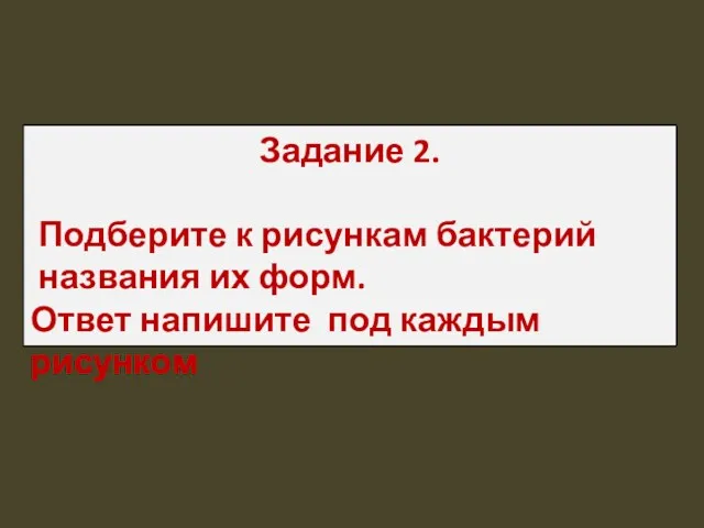 Задание 2. Подберите к рисункам бактерий названия их форм. Ответ напишите под каждым рисунком