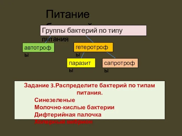 Питание бактерий автотрофы гетеротрофы паразиты сапротрофы Группы бактерий по типу