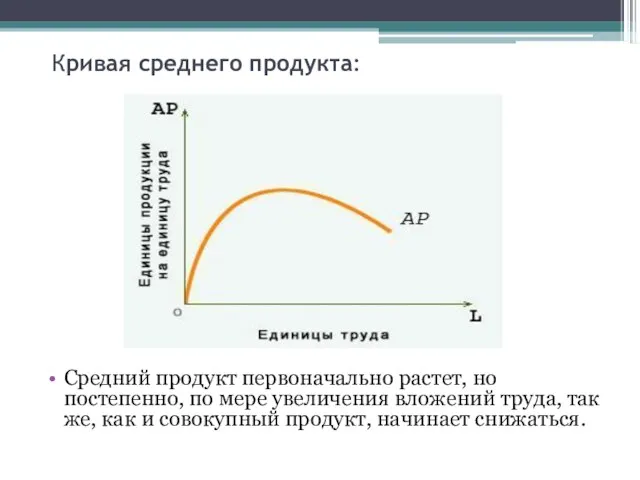 Кривая среднего продукта: Средний продукт первоначально растет, но постепенно, по