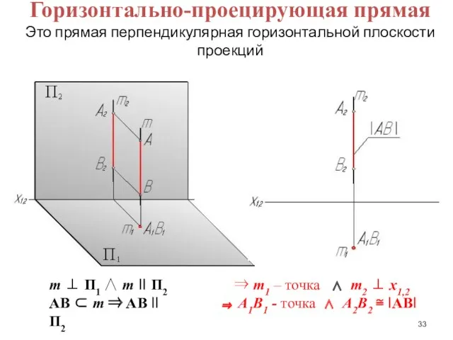 Горизонтально-проецирующая прямая Это прямая перпендикулярная горизонтальной плоскости проекций m ⊥