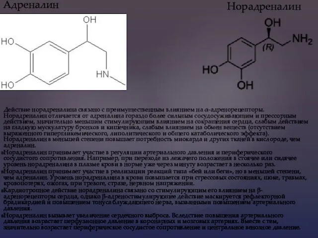 Адреналин Действие норадреналина связано с преимущественным влиянием на α-адренорецепторы. Норадреналин отличается от адреналина