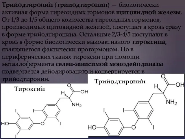​ Трийодтирони́н (трииодтиронин) — биологически активная форма тиреоидных гормонов щитовидной железы. От 1/3