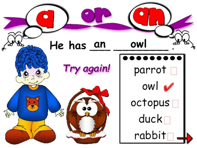 He has ___ ________ . an owl rabbit parrot owl