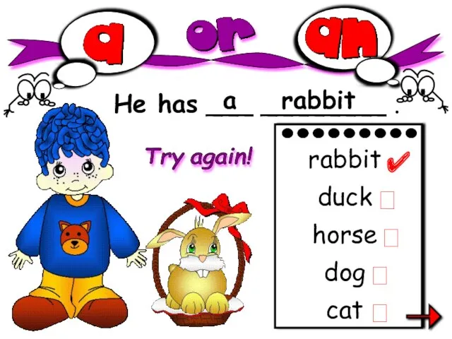 He has ___ ________ . a rabbit cat rabbit duck