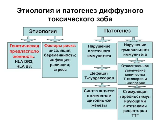 Этиология и патогенез диффузного токсического зоба Этиология Патогенез Генетическая предласположенность: