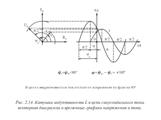 Рис. 2.14. Катушка индуктивности L в цепи синусоидального тока. векторная
