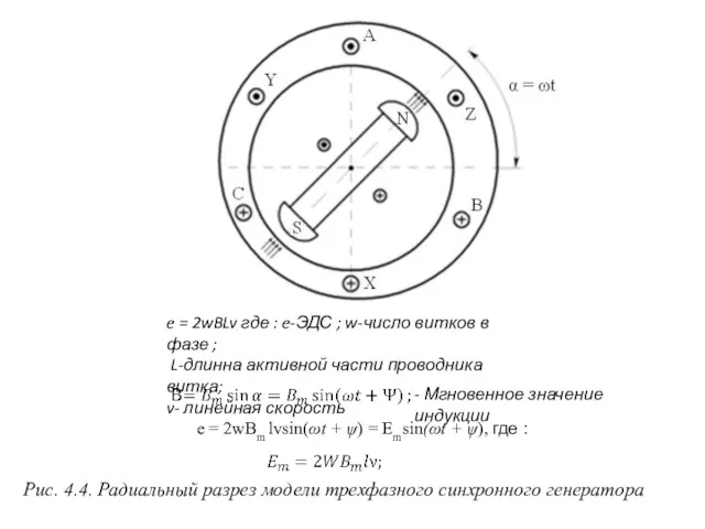 Рис. 4.4. Радиальный разрез модели трехфазного синхронного генератора e =