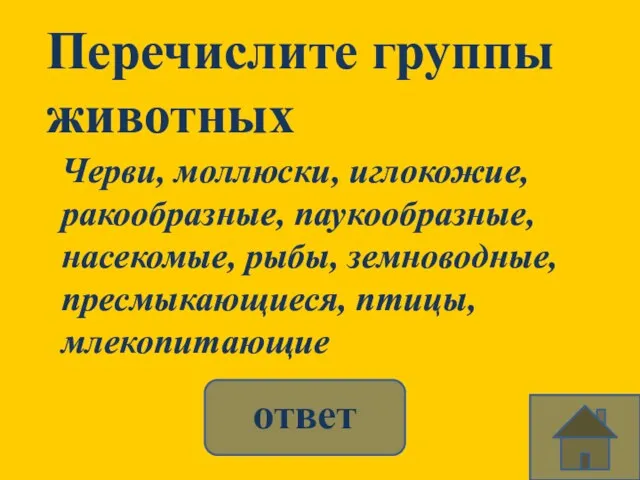 Перечислите группы животных Черви, моллюски, иглокожие, ракообразные, паукообразные, насекомые, рыбы, земноводные, пресмыкающиеся, птицы, млекопитающие