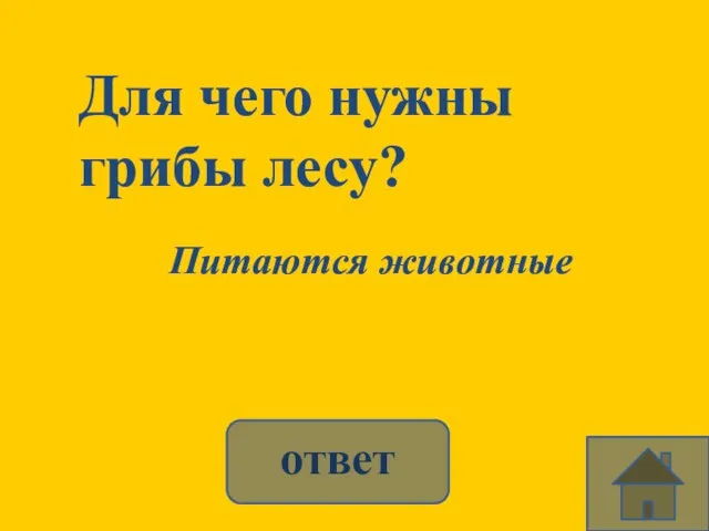 Для чего нужны грибы лесу? Питаются животные