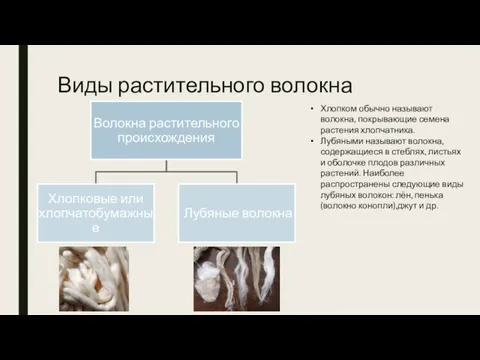 Виды растительного волокна Хлопком обычно называют волокна, покрывающие семена растения