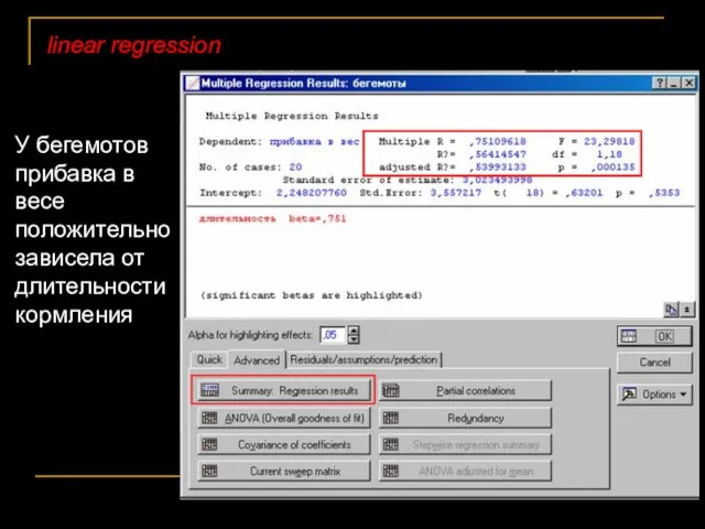 linear regression У бегемотов прибавка в весе положительно зависела от длительности кормления