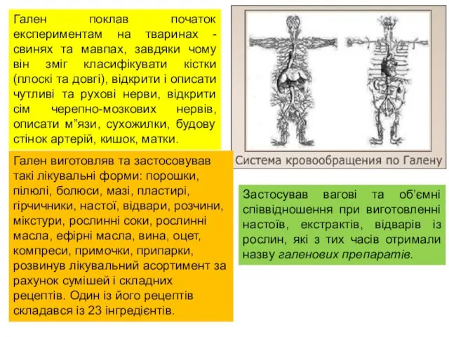 Гален поклав початок експериментам на тваринах - свинях та мавпах,