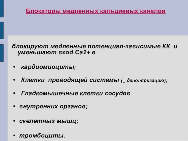 Блокаторы медленных кальциевых каналов блокируют медленные потенциал-зависимые КК и уменьшают