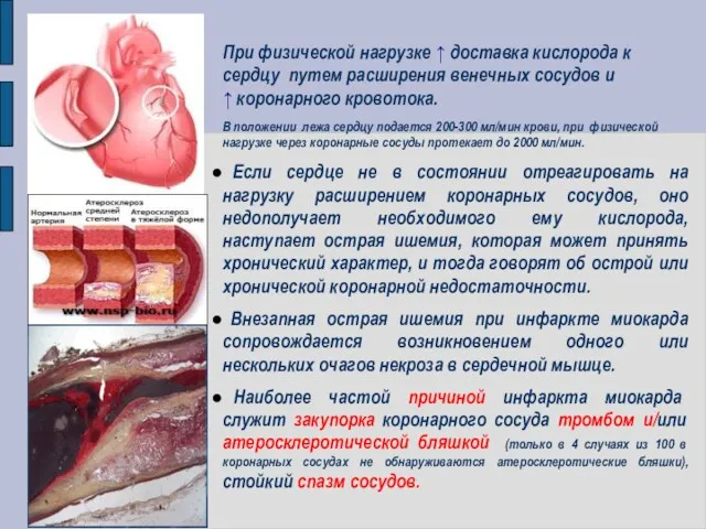 При физической нагрузке ↑ доставка кислорода к сердцу путем расширения