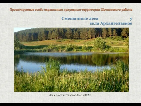 Смешанные леса у села Архангельское Проектируемые особо охраняемые природные территории