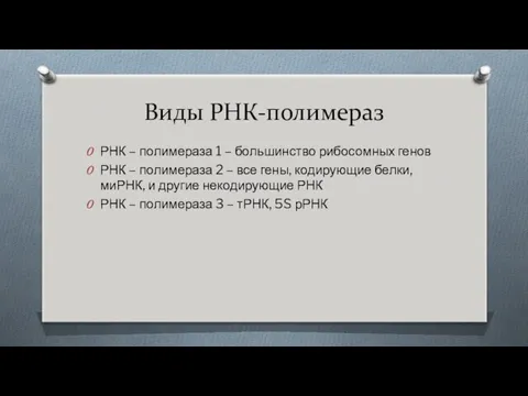 Виды РНК-полимераз РНК – полимераза 1 – большинство рибосомных генов