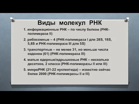 1. информационные РНК – по числу белков (РНК-полимераза II) 2.