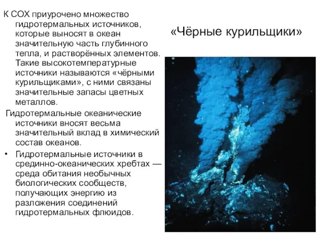 «Чёрные курильщики» К СОХ приурочено множество гидротермальных источников, которые выносят в океан значительную