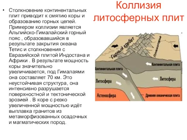 Коллизия литосферных плит Столкновение континентальных плит приводит к смятию коры и образованию горных