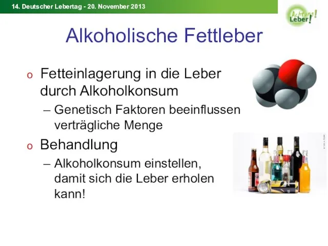 Alkoholische Fettleber Fetteinlagerung in die Leber durch Alkoholkonsum Genetisch Faktoren beeinflussen verträgliche Menge