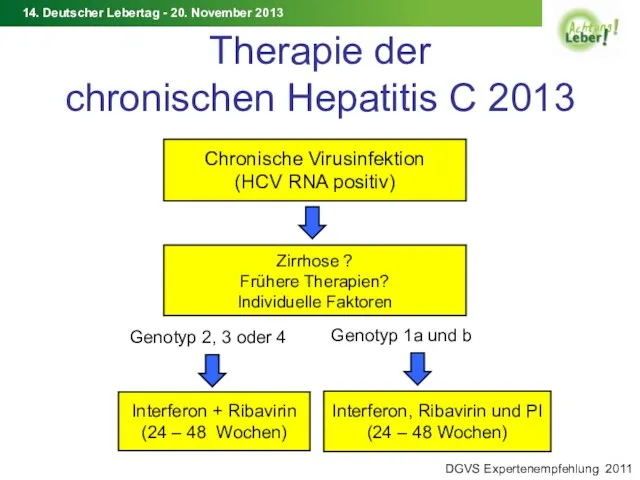 Therapie der chronischen Hepatitis C 2013 Chronische Virusinfektion (HCV RNA positiv) Zirrhose ?